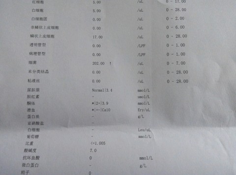 journal_insert_pic_417285377