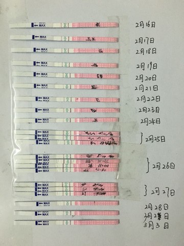 journal_insert_pic_418121496