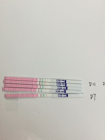 journal_insert_pic_418926179