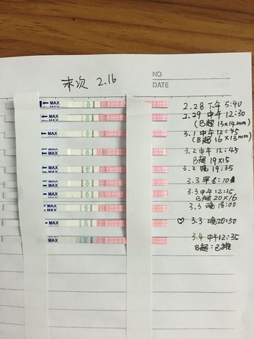 journal_insert_pic_418638121