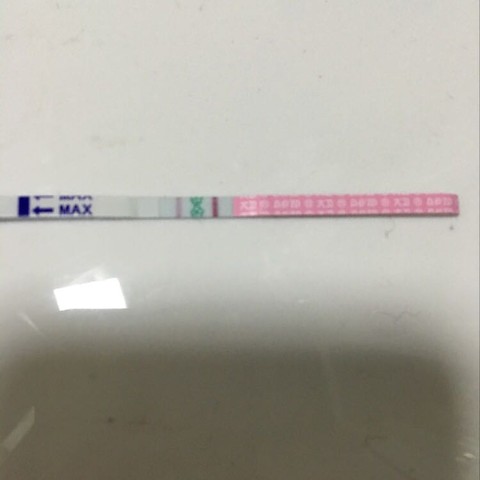 journal_insert_pic_420548412