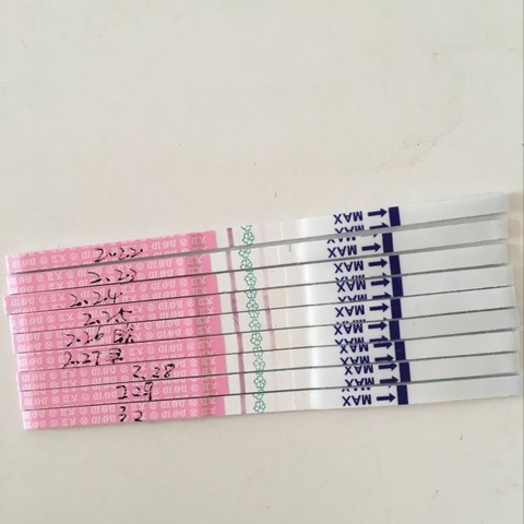 journal_insert_pic_420965610