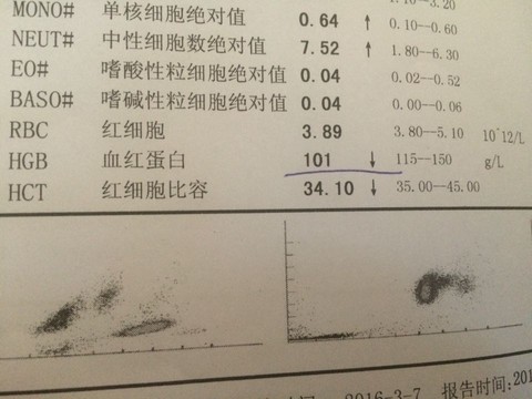 journal_insert_pic_421042574