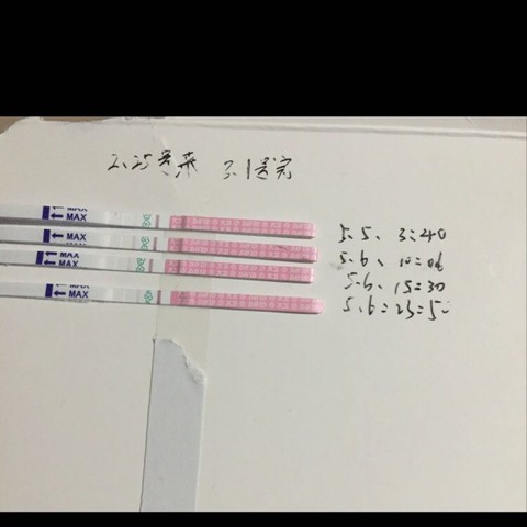 journal_insert_pic_420605756