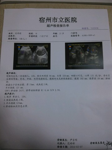 journal_insert_pic_422004334