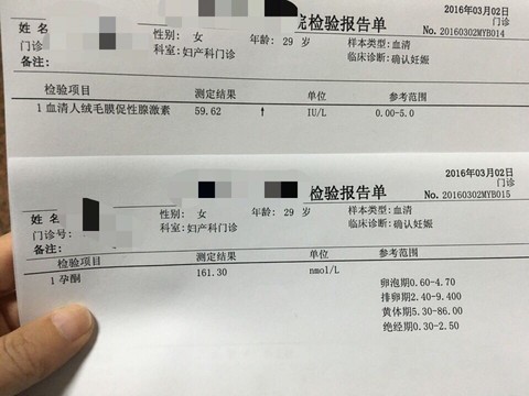 journal_insert_pic_421667357