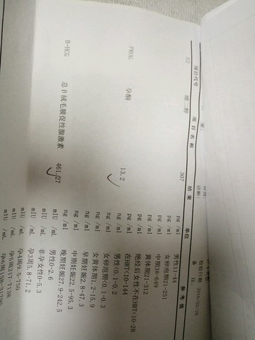 journal_insert_pic_422587537