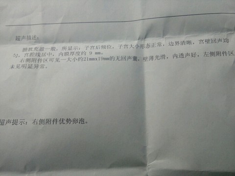 journal_insert_pic_422326031
