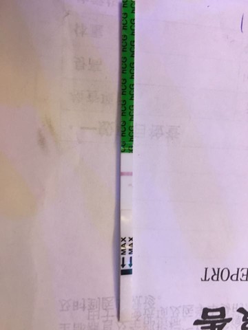 journal_insert_pic_422923146