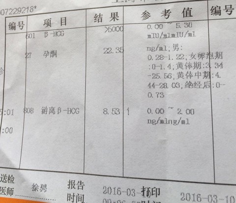 journal_insert_pic_423107561