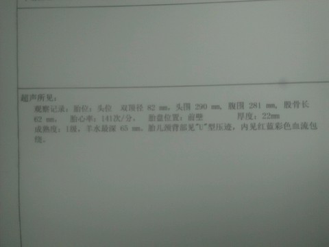 journal_insert_pic_423846039