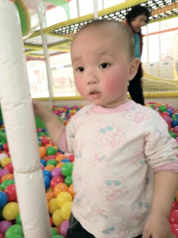 journal_insert_pic_425553396