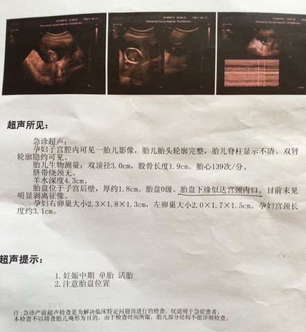journal_insert_pic_426211245