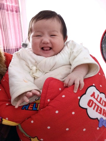 journal_insert_pic_425820469