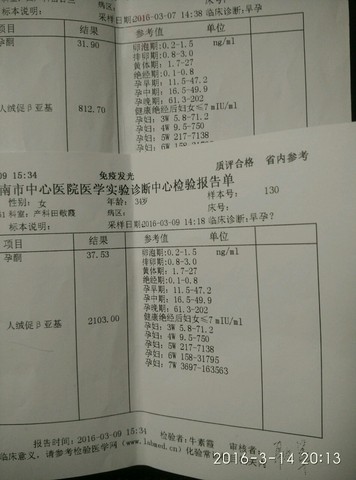 journal_insert_pic_426815095