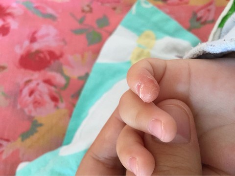 journal_insert_pic_426544665