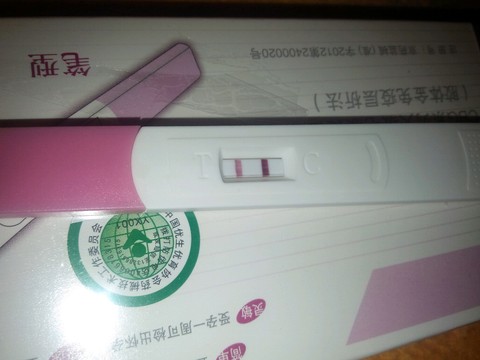 journal_insert_pic_426966645