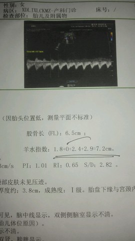 journal_insert_pic_427539997