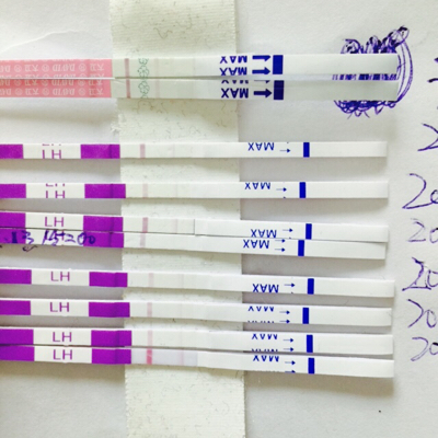 19号是姨妈日 今天排卵试纸加深 早早孕白板 排卵日6号左右隔天同房 姐妹们我还有希望吗 紫色的是排卵试纸 宝宝树