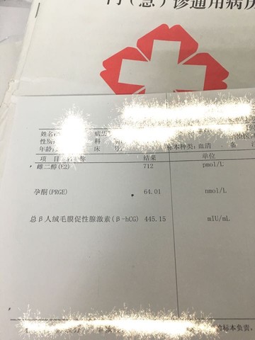 journal_insert_pic_428736943