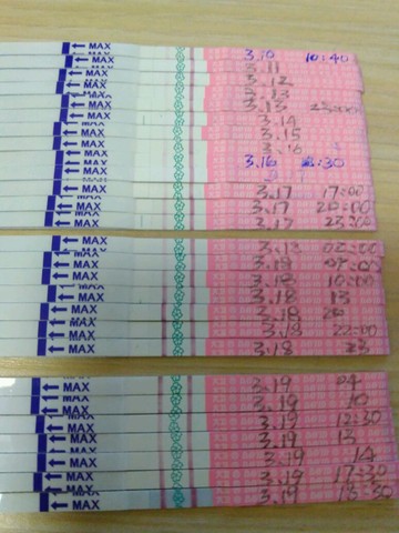 journal_insert_pic_429928093
