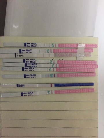 journal_insert_pic_429559126