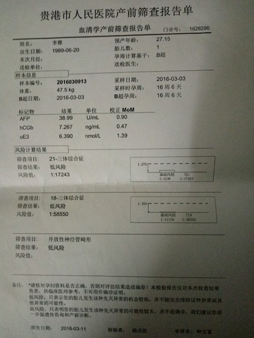 journal_insert_pic_430174223