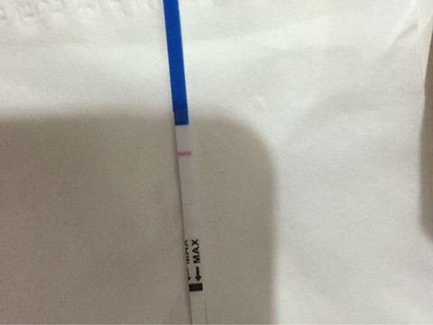 journal_insert_pic_430129622