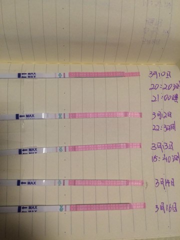 journal_insert_pic_430542930