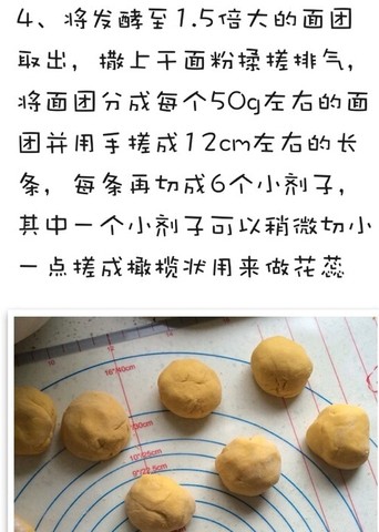 journal_insert_pic_430790329