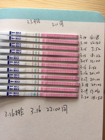 journal_insert_pic_430914405