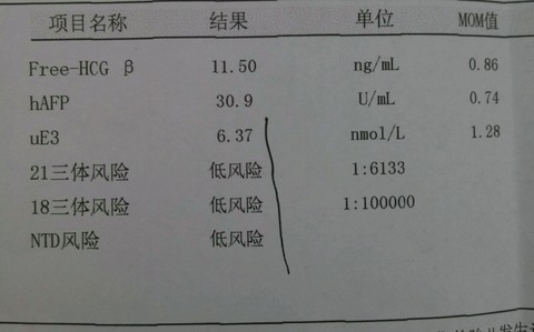 journal_insert_pic_431256932