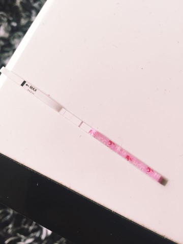 journal_insert_pic_431250256