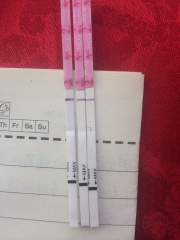 journal_insert_pic_432056662