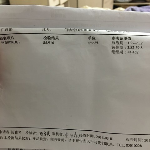 journal_insert_pic_433647577