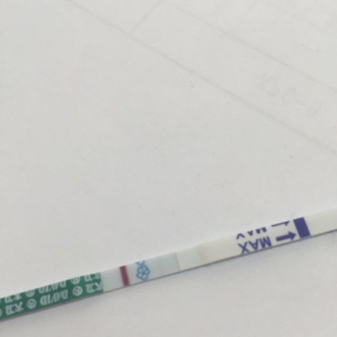 journal_insert_pic_434353008