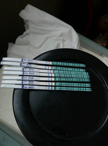 journal_insert_pic_434296611