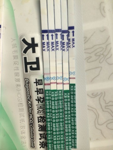 journal_insert_pic_435151575