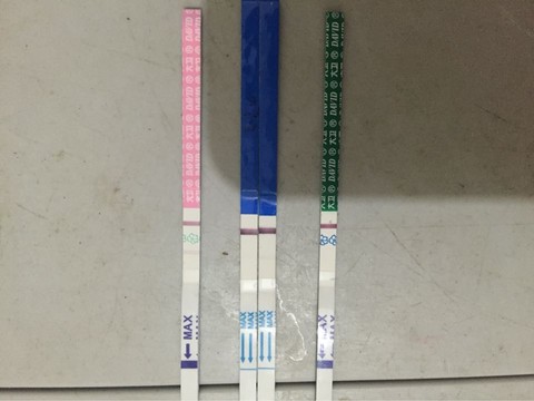 journal_insert_pic_435814155