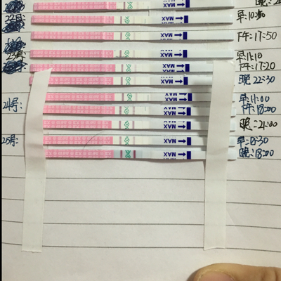 journal_insert_pic_435726860