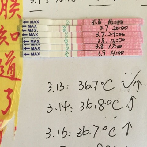 journal_insert_pic_436891599