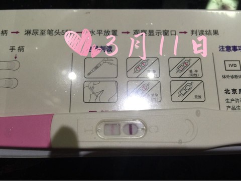 journal_insert_pic_437751835