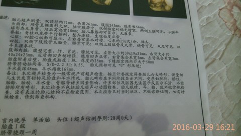 journal_insert_pic_438988139