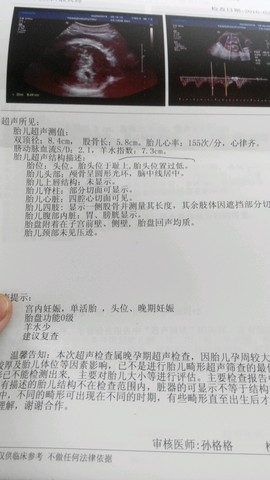 journal_insert_pic_439764375