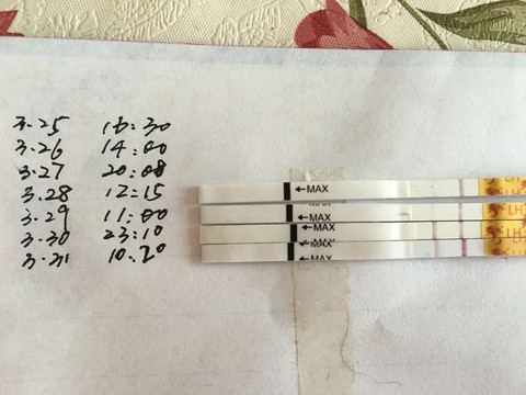 journal_insert_pic_440722120