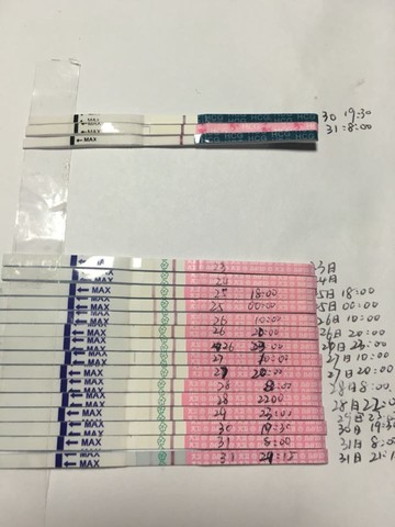 journal_insert_pic_441256466