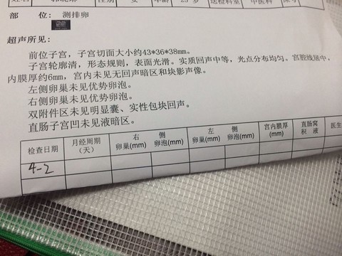 journal_insert_pic_440651554