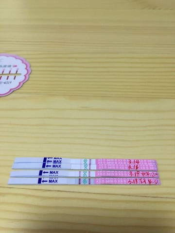 journal_insert_pic_440551512