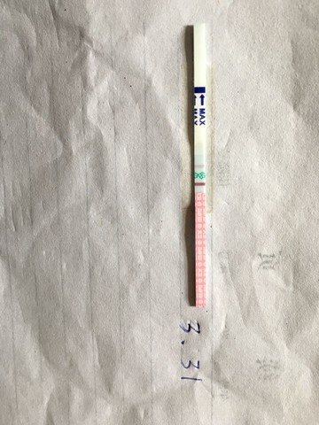 journal_insert_pic_440636302