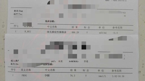 journal_insert_pic_441222128
